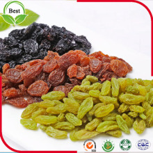 Todos os tipos de passas Raisin verde vermelho passas Raisin Brown